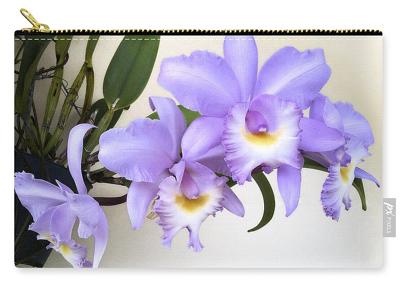 Orchid Zip Pouch featuring the photograph Cattleya Orchid by Bradford Martin