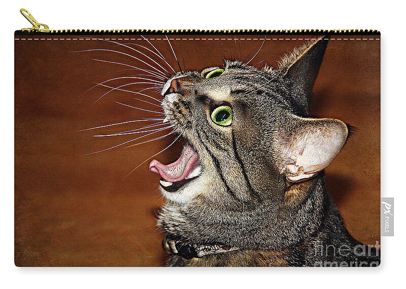 Cat Zip Pouch featuring the photograph Caught in the act by Jolanta Anna Karolska