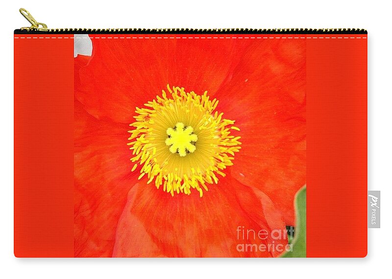 Vibrant Carry-all Pouch featuring the photograph Caught You Looking by Denise Railey