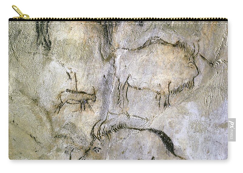 Magdalenian Zip Pouch featuring the photograph Cave Painting by Tom McHugh