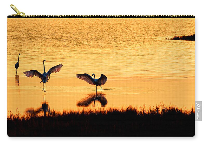 Snowy Egret Zip Pouch featuring the photograph Celebration by David Kay