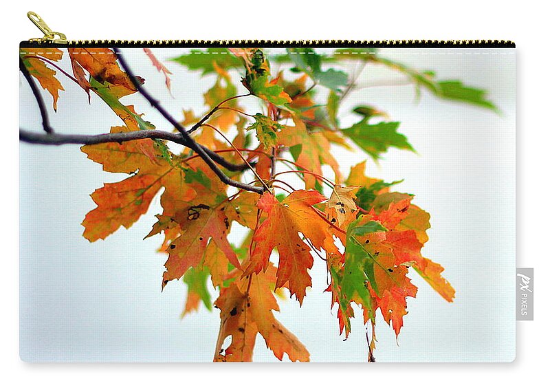Autumn Zip Pouch featuring the photograph Changing Seasons by Viviana Nadowski