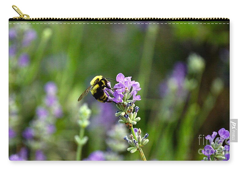 Bee Zip Pouch featuring the photograph Chasing Nectar by Crystal Harman