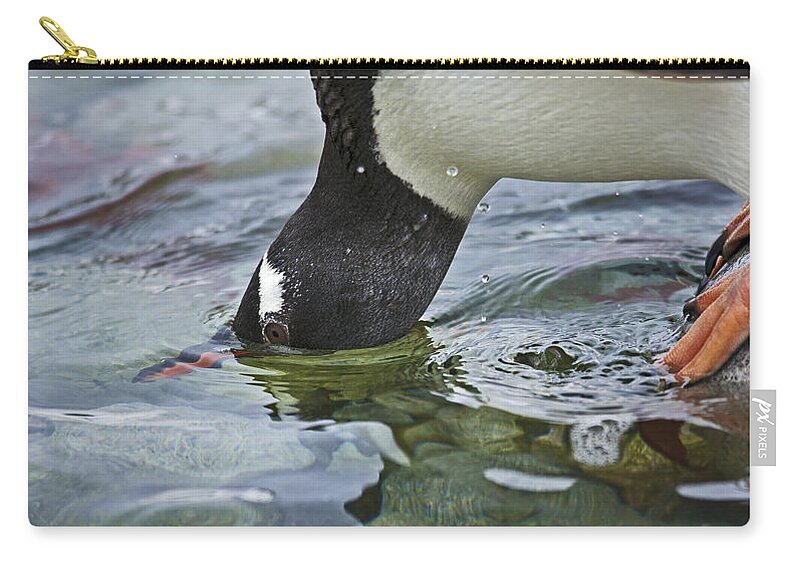 Festblues Zip Pouch featuring the photograph Checking for Orca... by Nina Stavlund