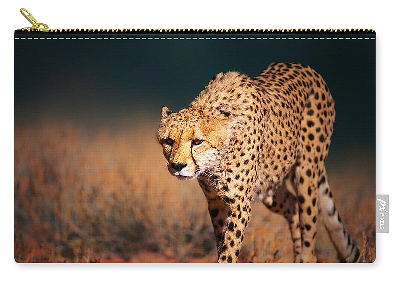 Cheetah Carry-all Pouch featuring the photograph Cheetah approaching from the front by Johan Swanepoel