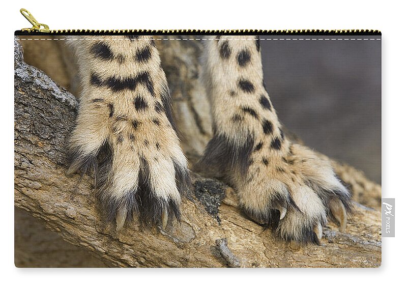 Suzi Eszterhas Zip Pouch featuring the photograph Cheetah Claws by Suzi Eszterhas