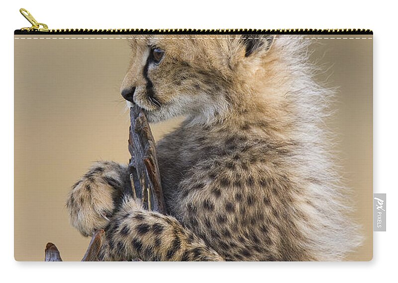 Suzi Eszterhas Carry-all Pouch featuring the photograph Cheetah Cub Maasai Mara Reserve by Suzi Eszterhas