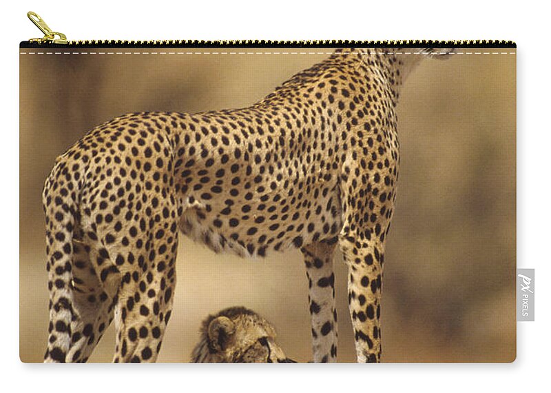 Feb0514 Zip Pouch featuring the photograph Cheetah Mother With Adolescent Samburu by Gerry Ellis
