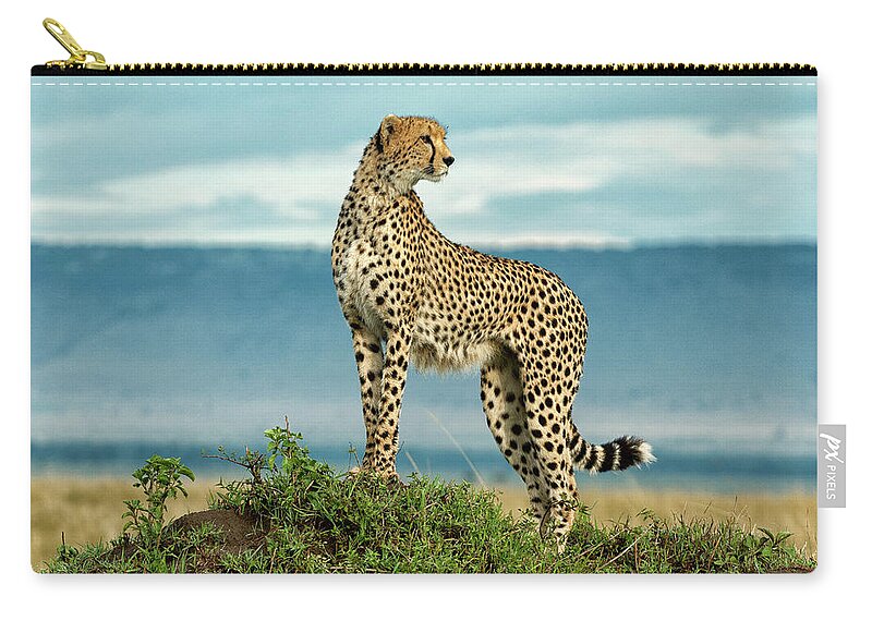 Scenics Zip Pouch featuring the photograph Cheetah On A Mound by Mike Hill