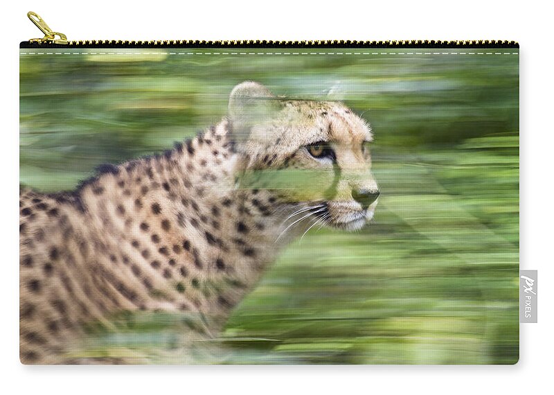 Feb0514 Zip Pouch featuring the photograph Cheetah Running Africa by Konrad Wothe