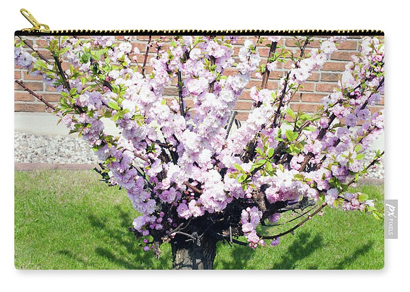 Outdoors Zip Pouch featuring the photograph Cherry Blossom In Spring by Juergen Bosse
