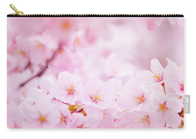 Season Zip Pouch featuring the photograph Cherry Blossom by Ngkaki