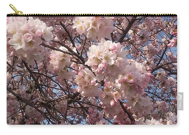 Cherry Blossoms Zip Pouch featuring the photograph Cherry Blossoms For Lana by Emmy Marie Vickers