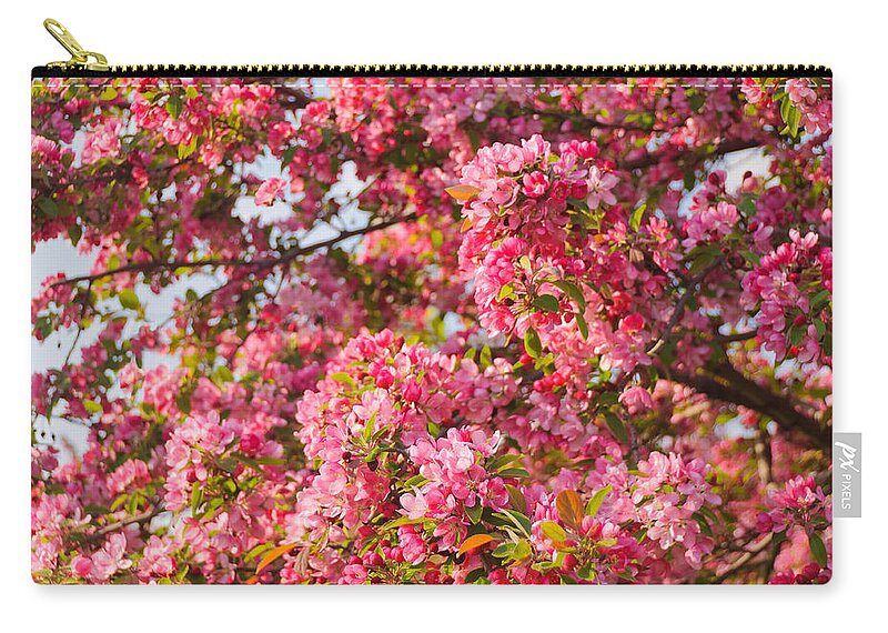 America Zip Pouch featuring the photograph Cherry Blossoms in Washington D.C. by Mitchell R Grosky