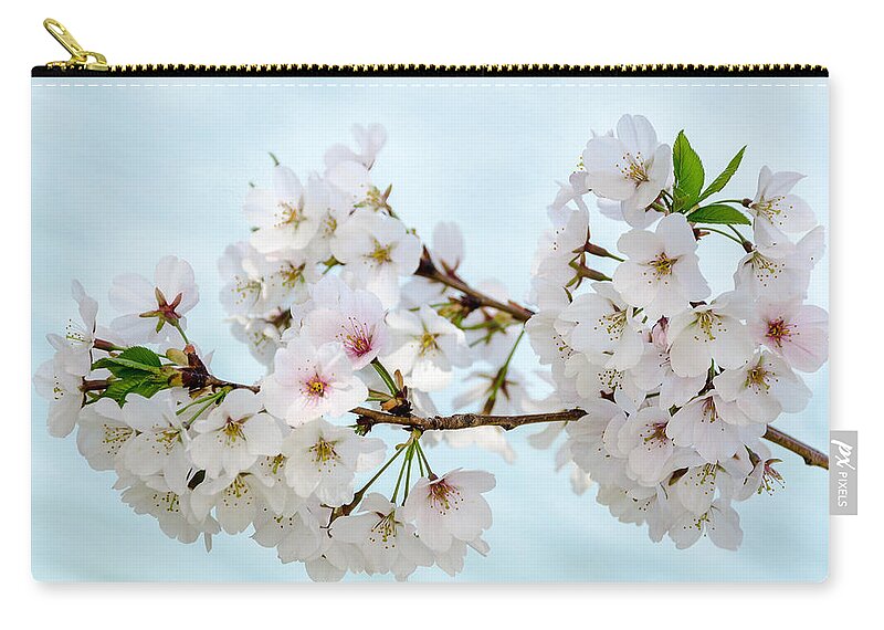 Dc Cherry Blossom Festival Zip Pouch featuring the photograph Cherry Blossoms No. 9146 by Georgette Grossman