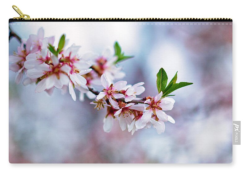 Cherry Zip Pouch featuring the photograph Cherry Tree Flower by Pablo Lopez