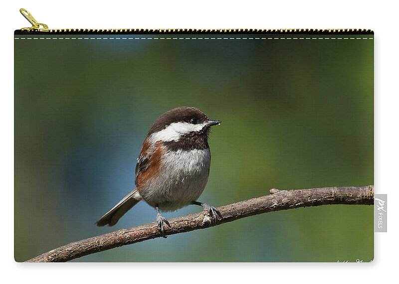Animal Carry-all Pouch featuring the photograph Chestnut Backed Chickadee Perched on a Branch by Jeff Goulden