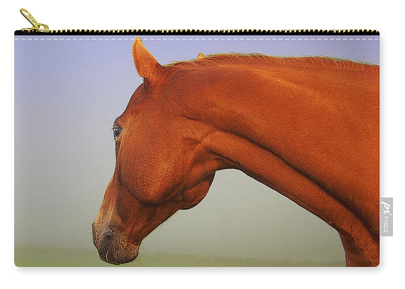 Horse Imagery Zip Pouch featuring the photograph Chestnut by David Davies