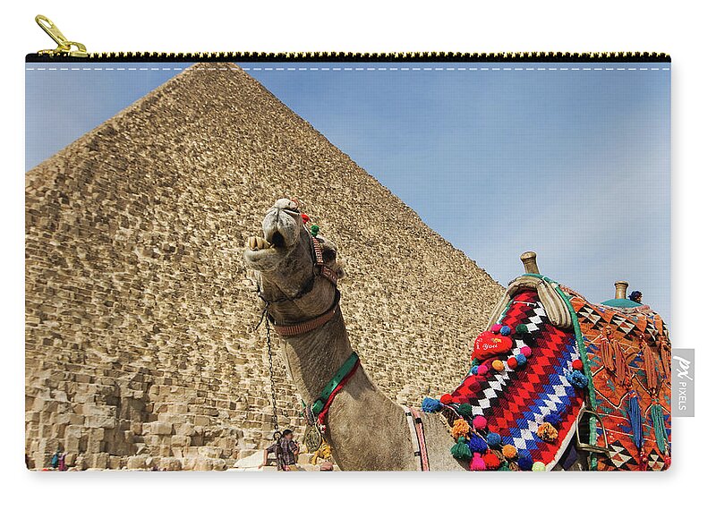 Working Animal Zip Pouch featuring the photograph Chewing Camel - Great Pyramid Of Giza by John Griffiths (griff~ography) York, Uk