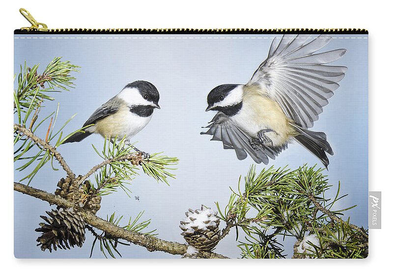 Black Capped Chickadees Zip Pouch featuring the photograph Chickadee Chums by Peg Runyan
