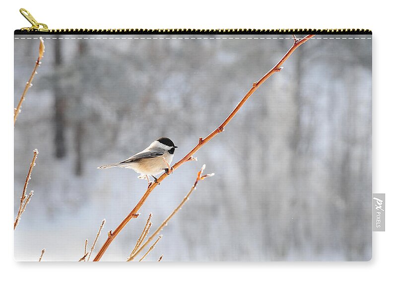 Chickadee Bird Winter Feathers Carry-all Pouch featuring the photograph Chickadee by Susie Rieple