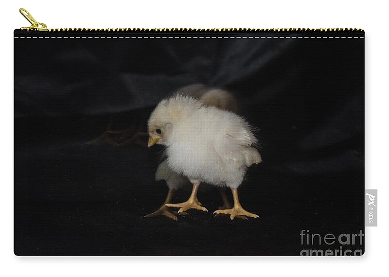 Chicken Zip Pouch featuring the photograph Chicken Dance by Donna Brown