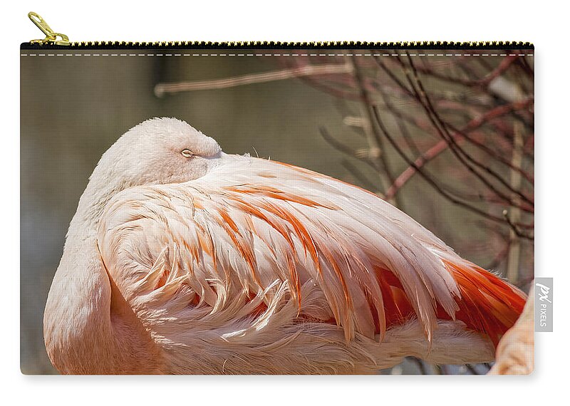 Adaption Zip Pouch featuring the photograph Chilean Pink Flamingo by Peter Lakomy