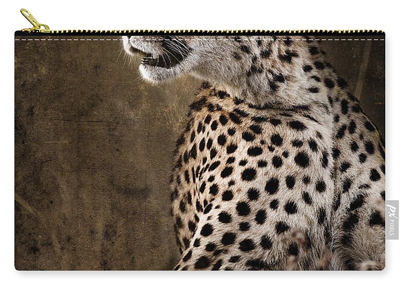 Africa Zip Pouch featuring the photograph Chill Cheetah by Mike Gaudaur
