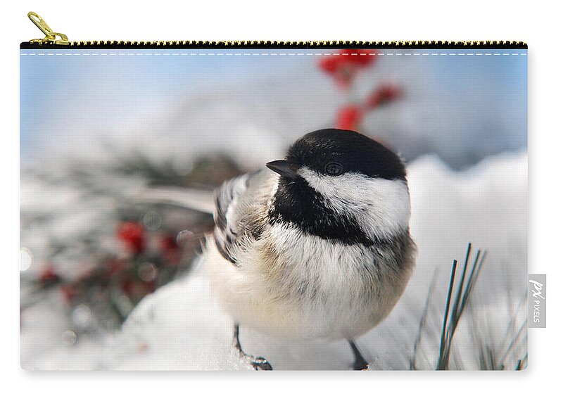 Chickadee Zip Pouch featuring the photograph Chilly Chickadee by Christina Rollo