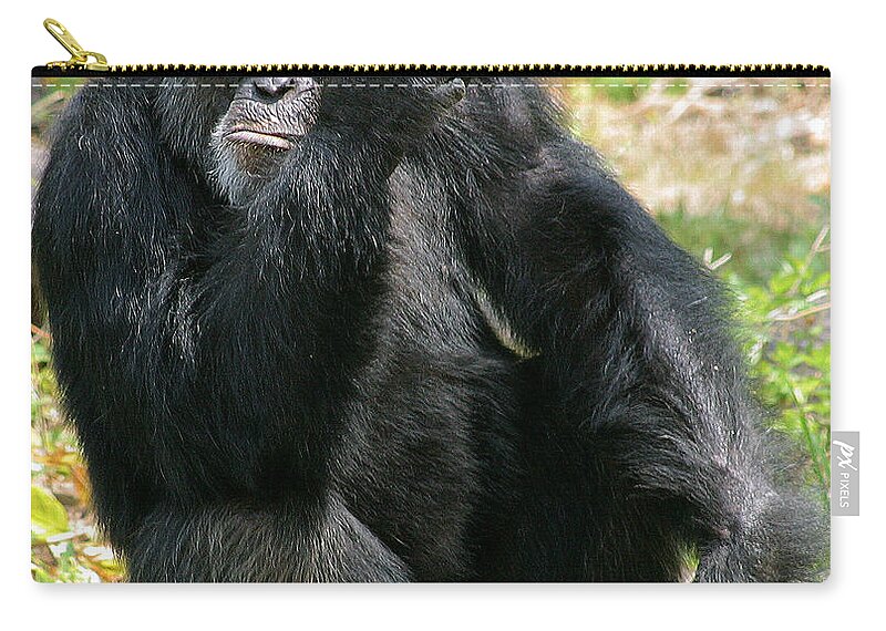 Chimp Zip Pouch featuring the photograph Chimpanzee-1 by Gary Gingrich Galleries