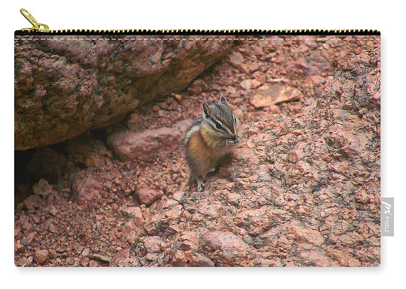 Chipmunk Zip Pouch featuring the photograph Chipmunk eating by Flees Photos