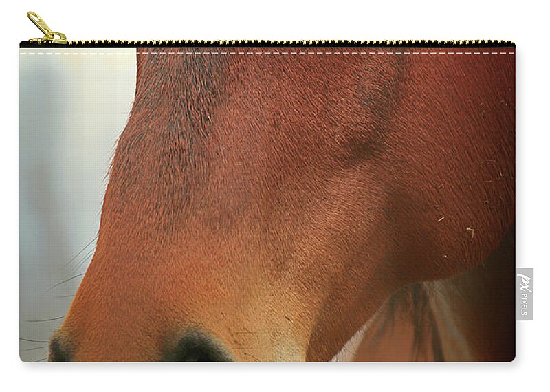 Horse Zip Pouch featuring the photograph Chriss Roan Horse by Mandy Mcarthur