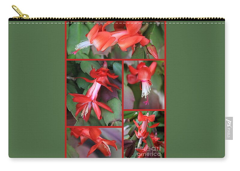 Christmas Cactus Zip Pouch featuring the photograph Christmas Cactus Holiday by Carol Groenen