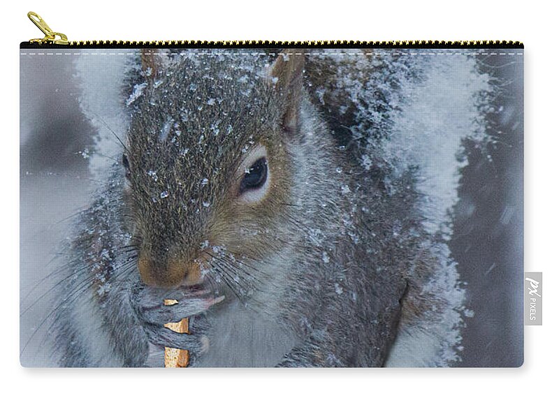 Christmas Card Zip Pouch featuring the photograph Christmas Card Squirrel w coffee and Biscotti by Sandra Clark