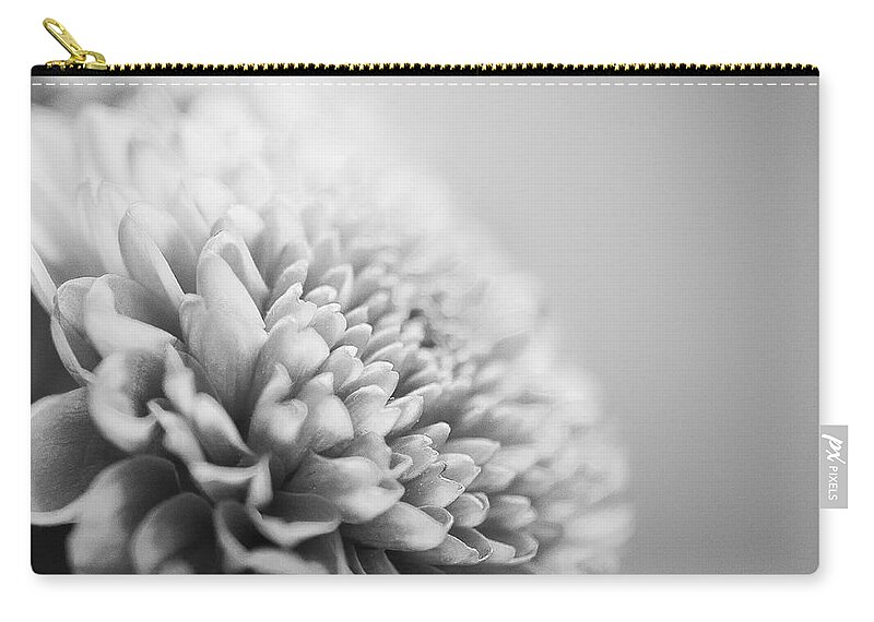 Photograph Zip Pouch featuring the photograph Chrysanthemum in Black and white by Ivy Ho