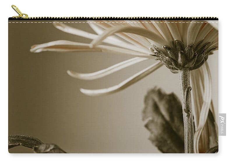 Beautiful Zip Pouch featuring the photograph Chrysanthemum Petals 2 by Jo Ann Tomaselli