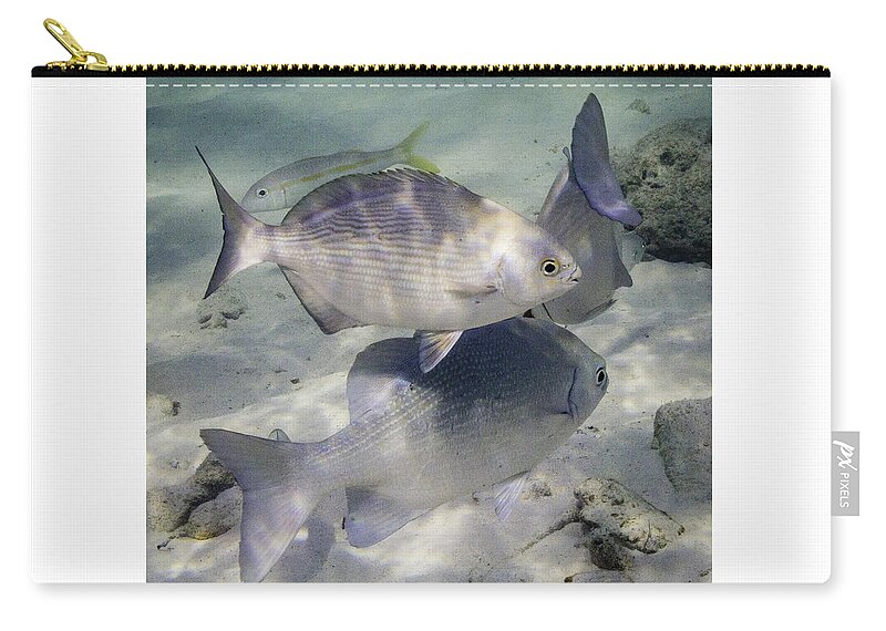Fish Carry-all Pouch featuring the photograph Chubbin' Around by Lynne Browne