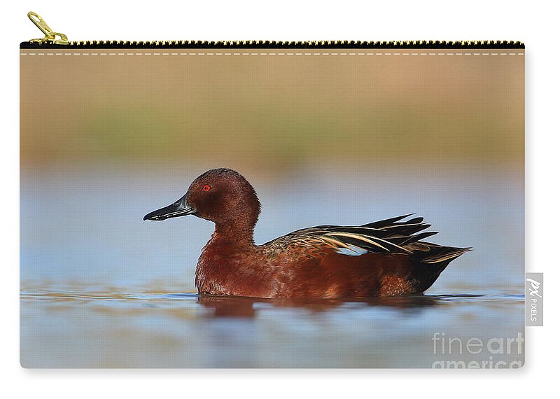 Drake Cinnamon Teal Zip Pouch featuring the photograph Cinnamon on top by Bryan Keil