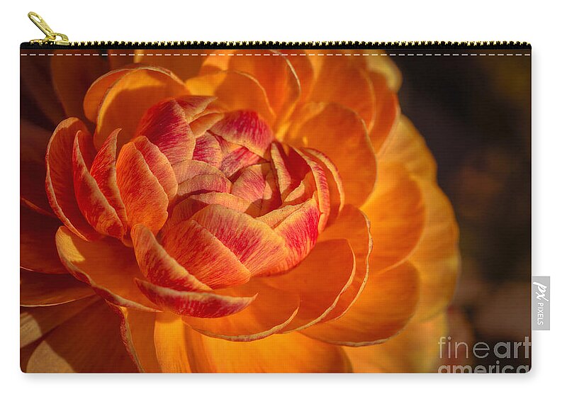 Flower Zip Pouch featuring the photograph Citrus Beauty by Ana V Ramirez