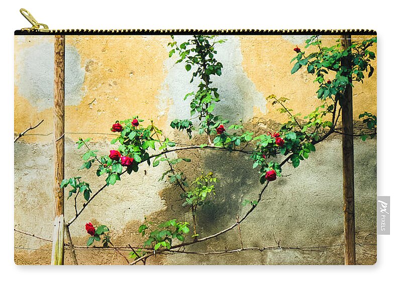 Beautiful Zip Pouch featuring the photograph Climbing rose plant by Silvia Ganora