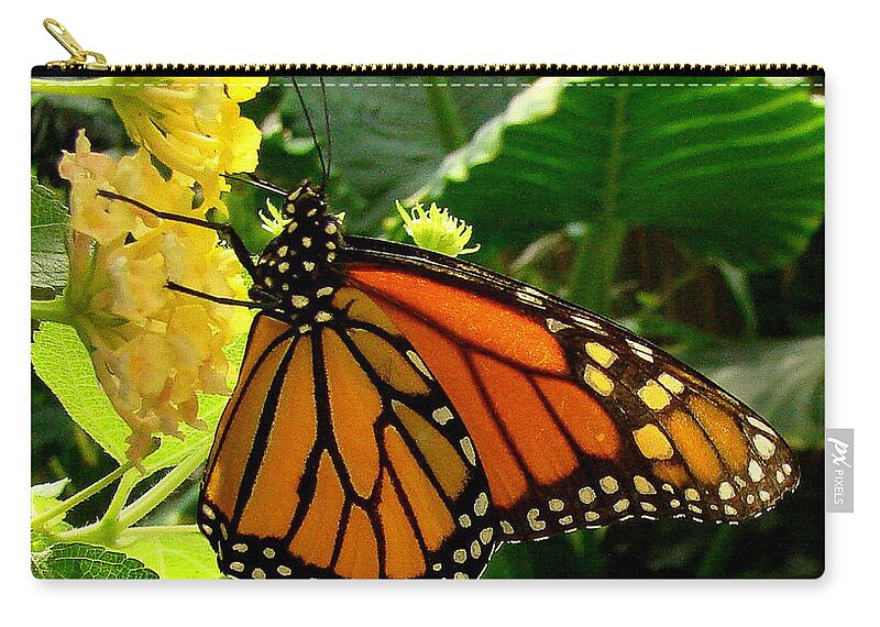 Fine Art Zip Pouch featuring the photograph Cling by Rodney Lee Williams