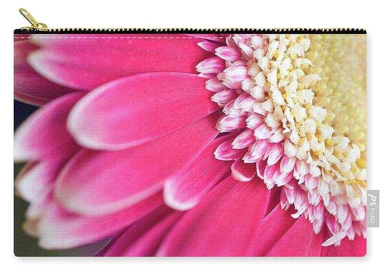 North Rhine Westphalia Carry-all Pouch featuring the photograph Close-up Of A Gerbera Flowerhead by Juergen Bosse
