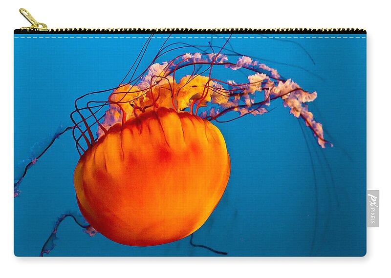 Jelly Fish Zip Pouch featuring the photograph Close up of a Sea Nettle jellyfis by Eti Reid
