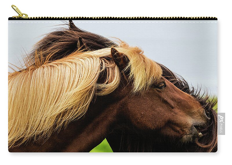 Horse Zip Pouch featuring the photograph Close Up Of Icelandic Horses Grooming by Pixelchrome Inc