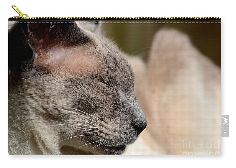 Cat Zip Pouch featuring the photograph Close-up of sleeping Siamese cat by Imran Ahmed