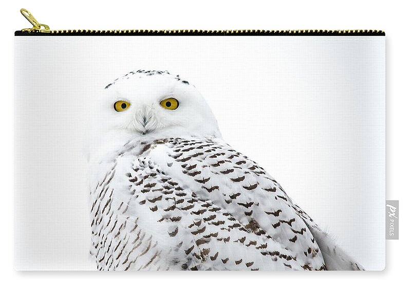 Field Carry-all Pouch featuring the photograph Close Up Snowy by Cheryl Baxter