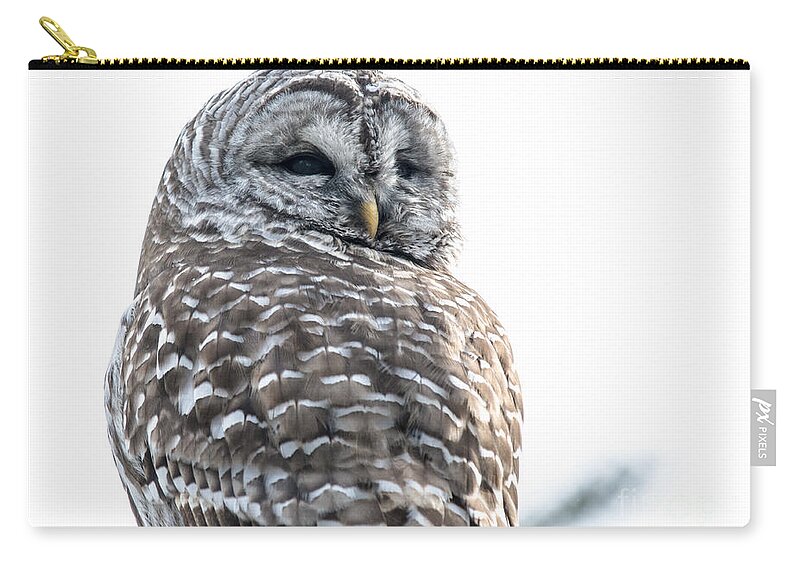 Nature Zip Pouch featuring the photograph Close Up with a Barred Owl by Cheryl Baxter