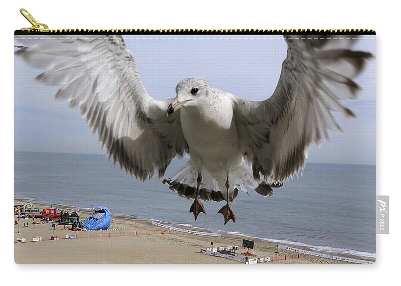 Virginia Beach Zip Pouch featuring the photograph Closeup Of Hovering Seagull by Rick Rosenshein