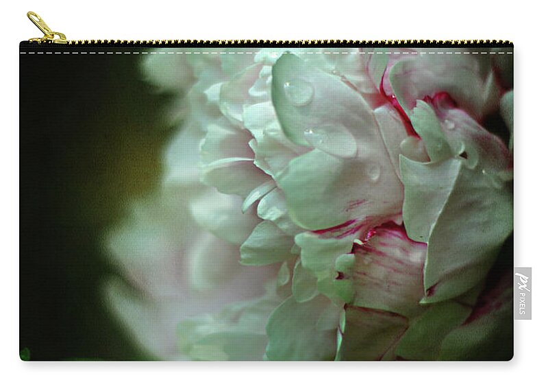 Pink Zip Pouch featuring the photograph Cloud Shrouded Beauty by Rebecca Sherman