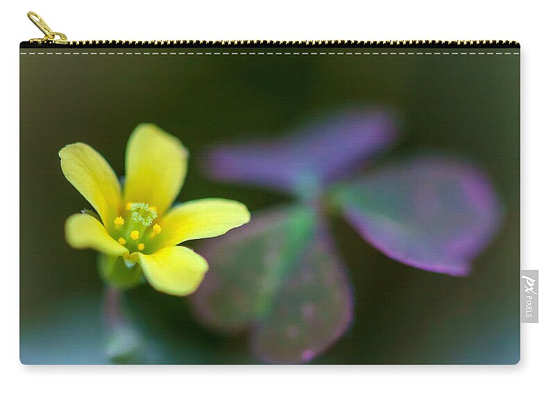 Nature Zip Pouch featuring the photograph Clover's Blossom by Jonathan Nguyen